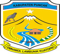 Kabupaten Puncak